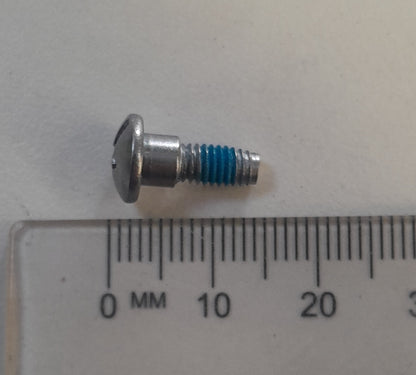 Blade mounting screw