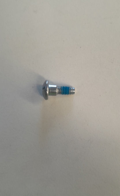 Blade mounting screw