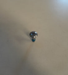 Blade mounting screw